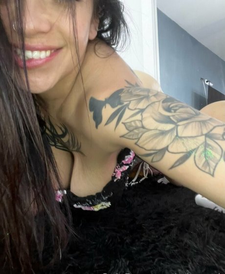 reinarock star free archive