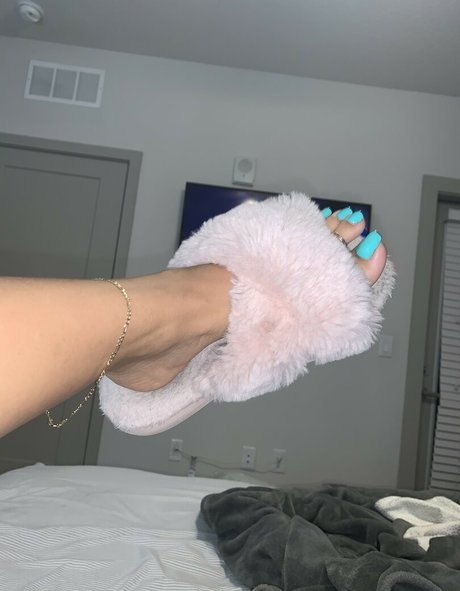 Miliani high quality star galleries