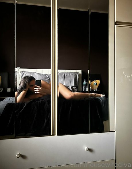 housewifediva art star image