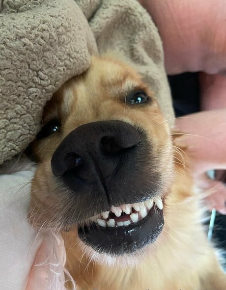 kayyybearfree nudes pornstar images