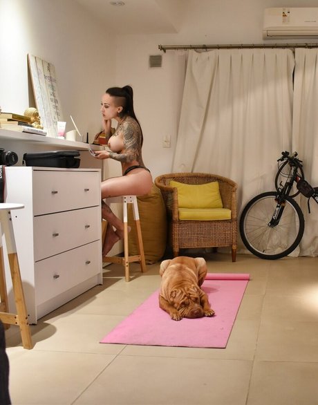 Lapecosafitness best star pics