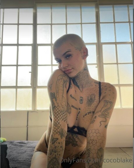 Coco Blake model hd image