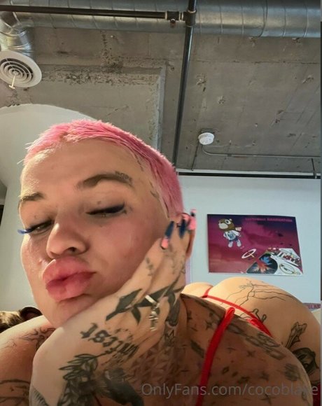 Coco Blake xxx actress archive