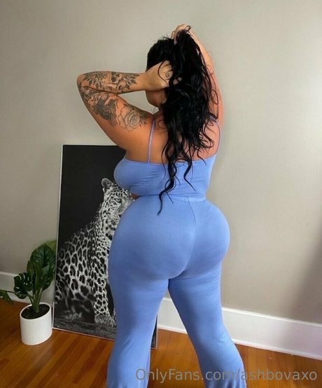 ashbovaxo art star pics