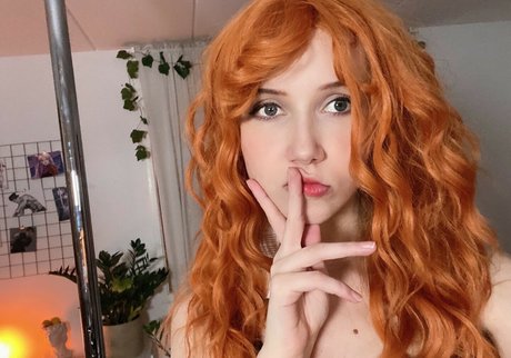 Apollolol art star pic