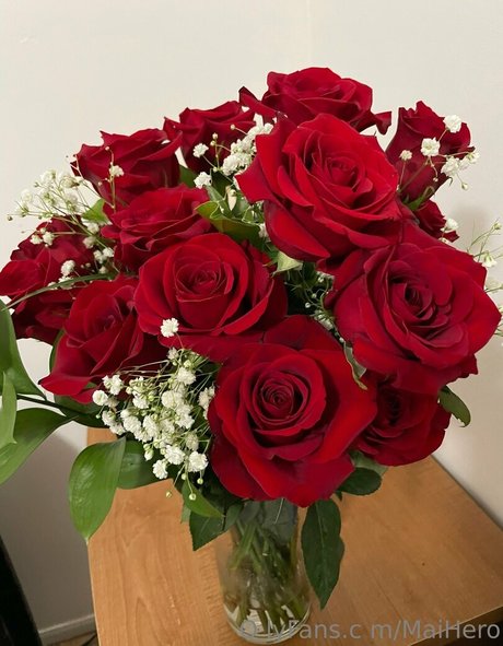 maihero star xxx image