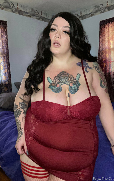 felyxthecat nudes star photos