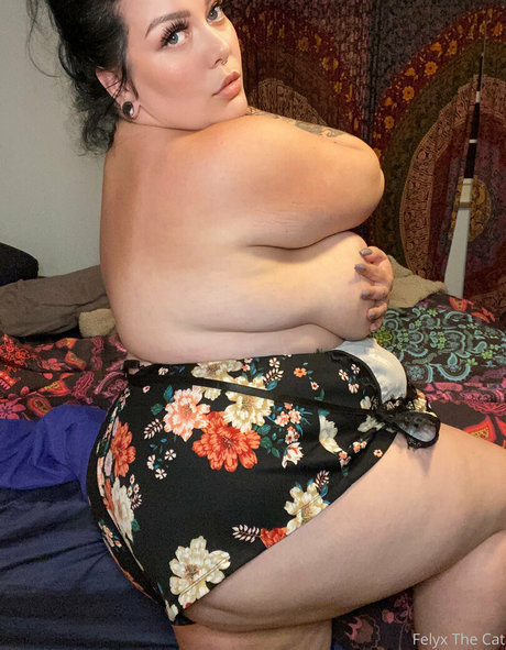 felyxthecat star sexy pic