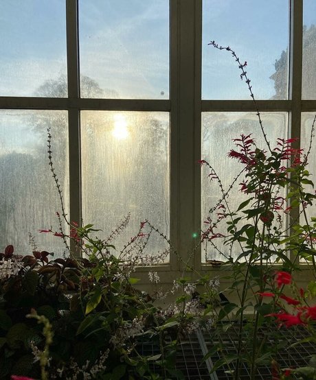 Mydirtyhobby star exclusive pic