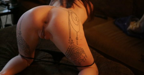 disturbedsnow Profile