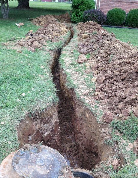 cbadonis pornographic actress pics