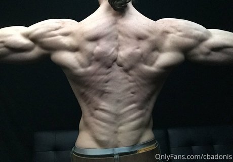 cbadonis star adult image