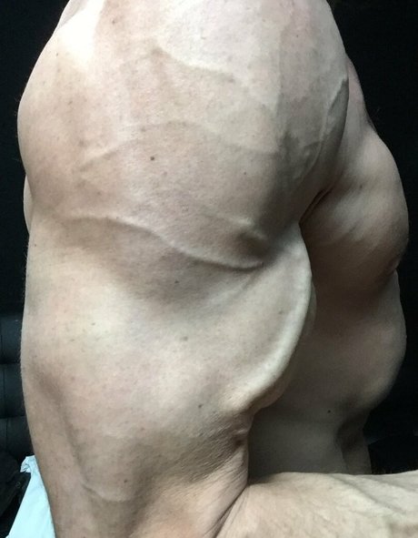 cbadonis model art images