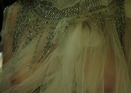 lactescens top model picture