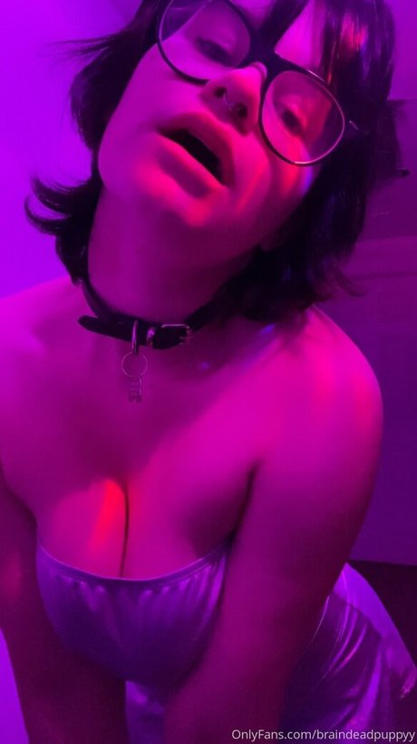 cl0wnpwuppy high quality star galleries