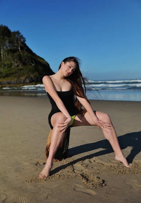 Lisi Flex adult star pics