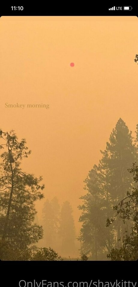 shaykitty porn star picture