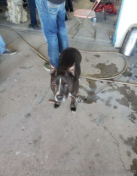 weldlikeababe actress galleries