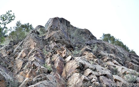 sexyredinbedfree pornstar perfect img