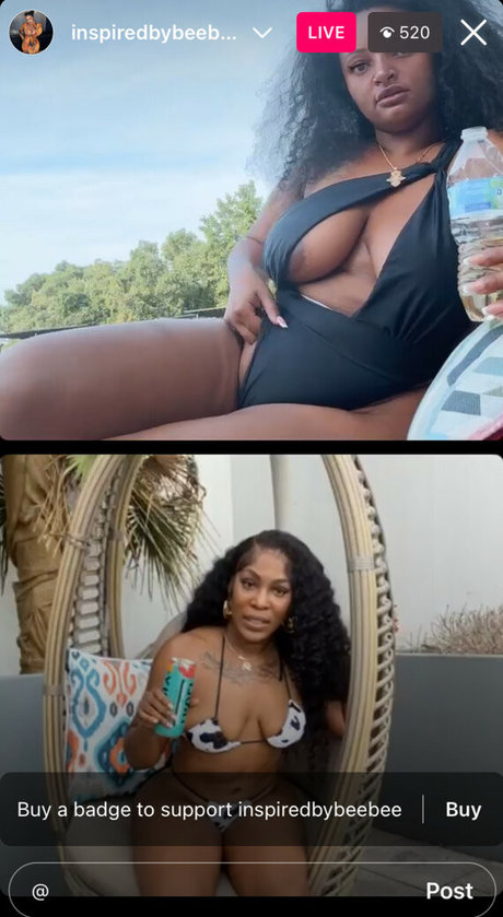 inspiredbybeebee star nice galleries