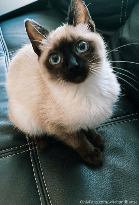 skinny ebony teen onlyfans sexy xxx image