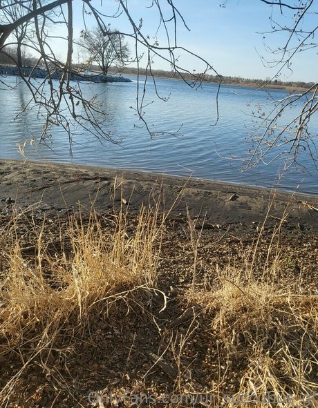 bbw milf onlyfans sexy picture