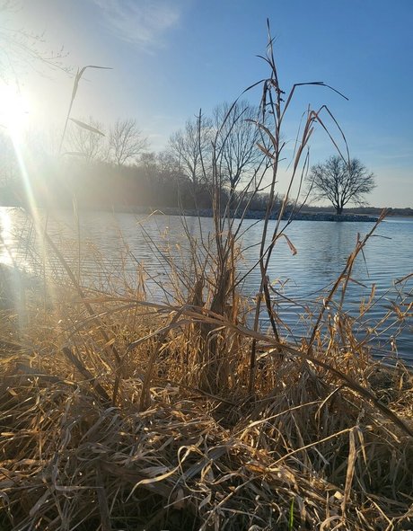 bbc ebony onlyfans top archive