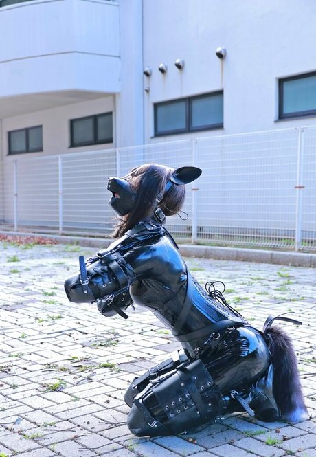 Dlemon pornstar sex images