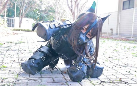 Dlemon star top picture