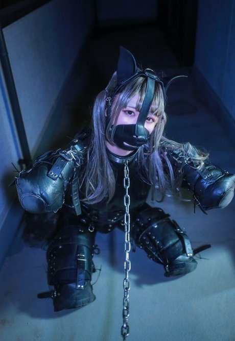 bbc doggystyle onlyfans xxx photo