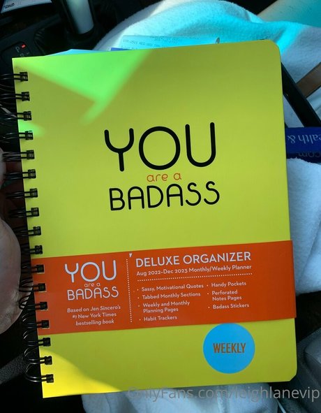 leighlanevip art pornstar archive