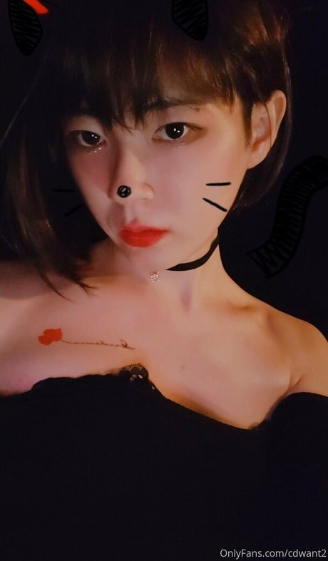 cdwant2 perfect model photo