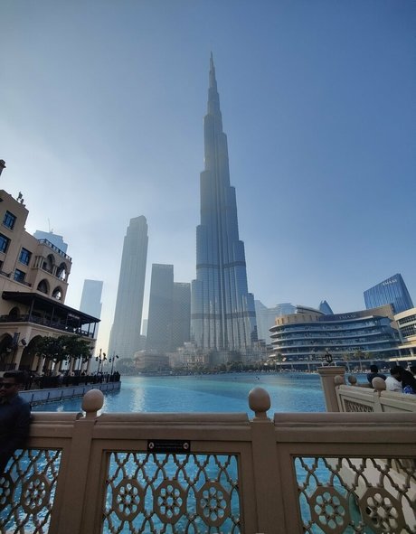 dejiko star free image