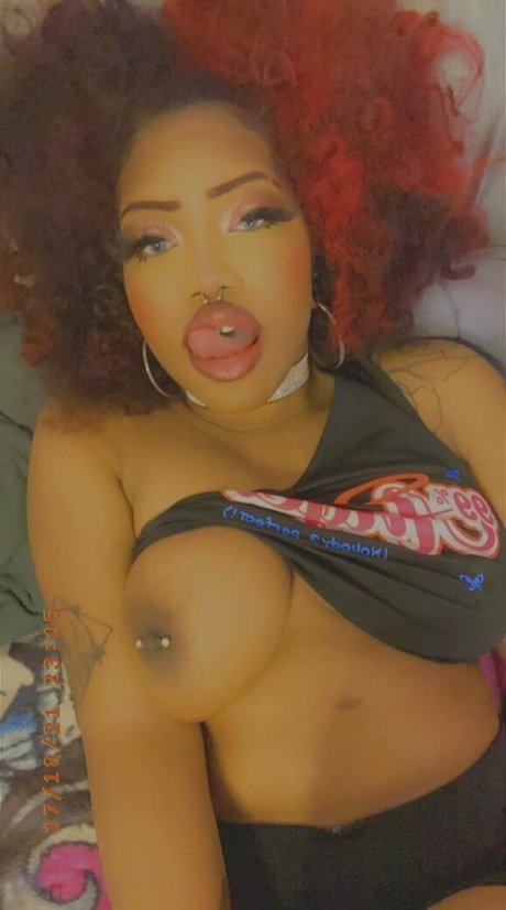 tammicity star hd archive