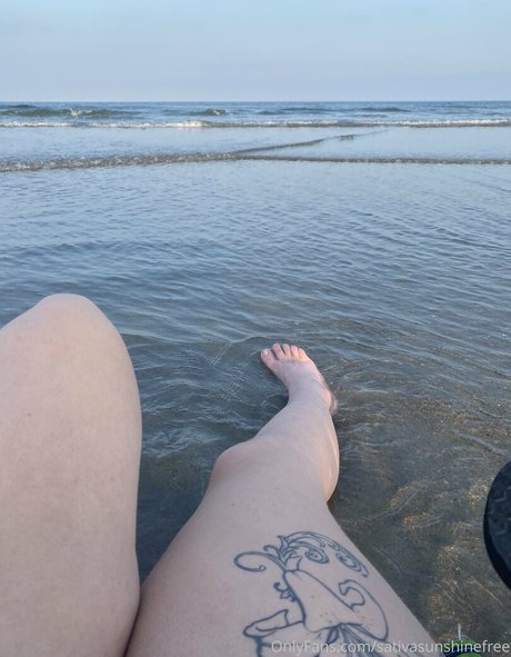 sativasunshinefree high quality star image