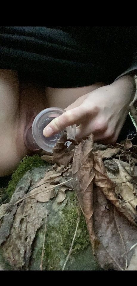 ciciastral star art img