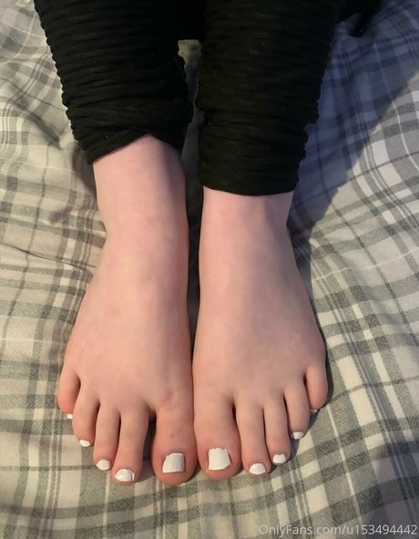 noraborealis pornstar top galleries