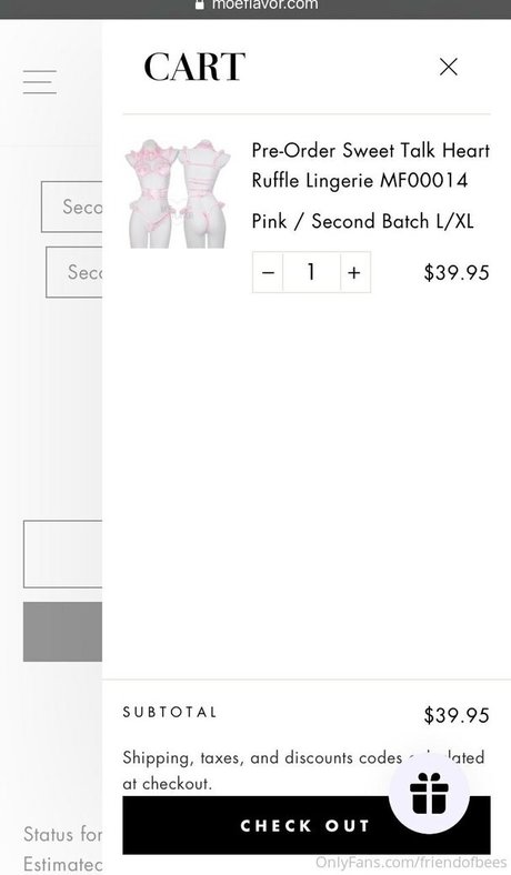 friendofbees best model img