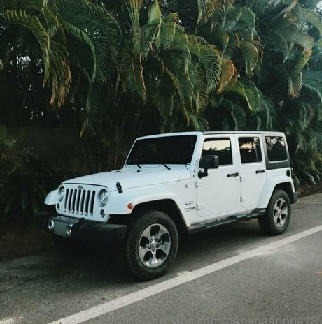 banana69split perfect star archive