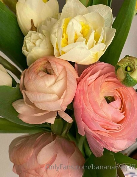 banana69split nude star pics