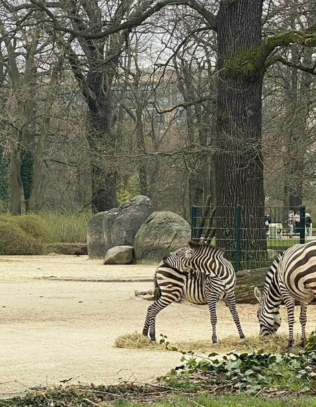 banana69split star nude pictures