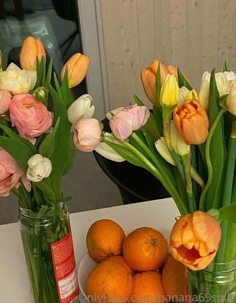 banana69split star perfect photos