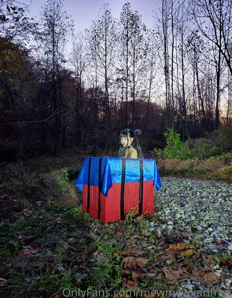 mewmewkarifree xxx pornstar img