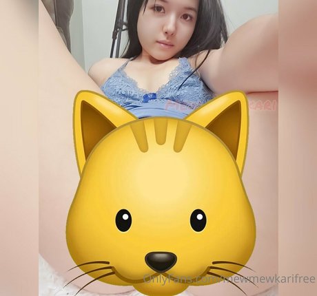 mewmewkarifree star pretty archive