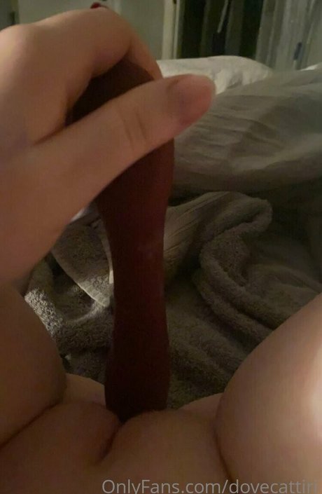 dovecattiri perfect star photo