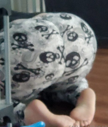 sashaandbear hot star galleries