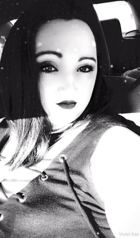 naughty kitten84 Images