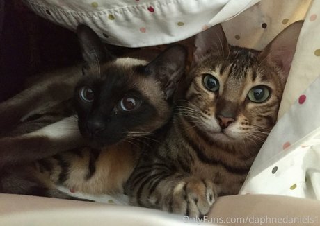 daphnedaniels1 naked actress image