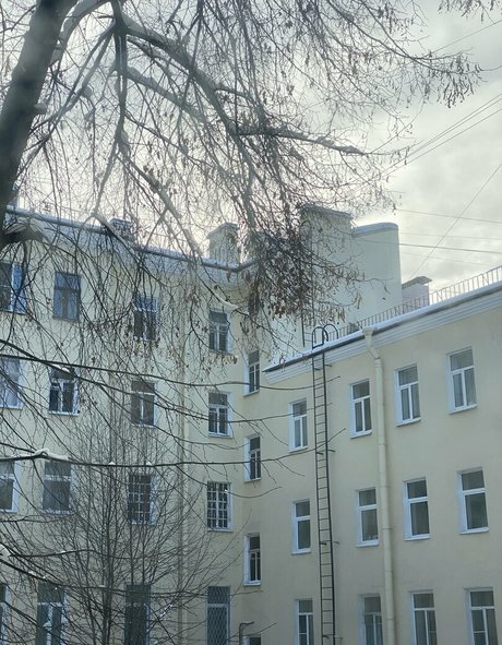 sweetmossy model exclusive image