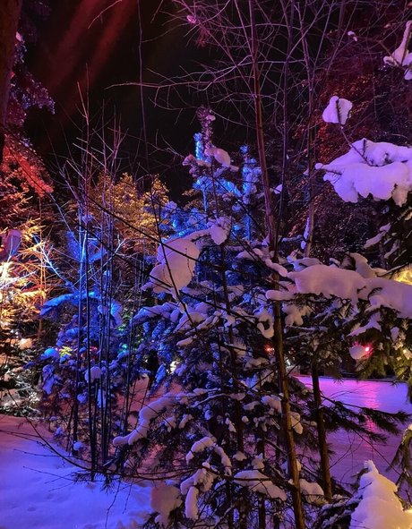 sweetmossy high quality actress pictures